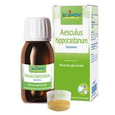 AESCULUS HIPPOCASTANUM BOIRON MG 60ML